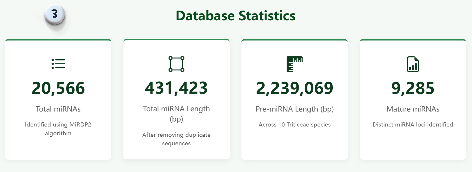 Home Page Overview