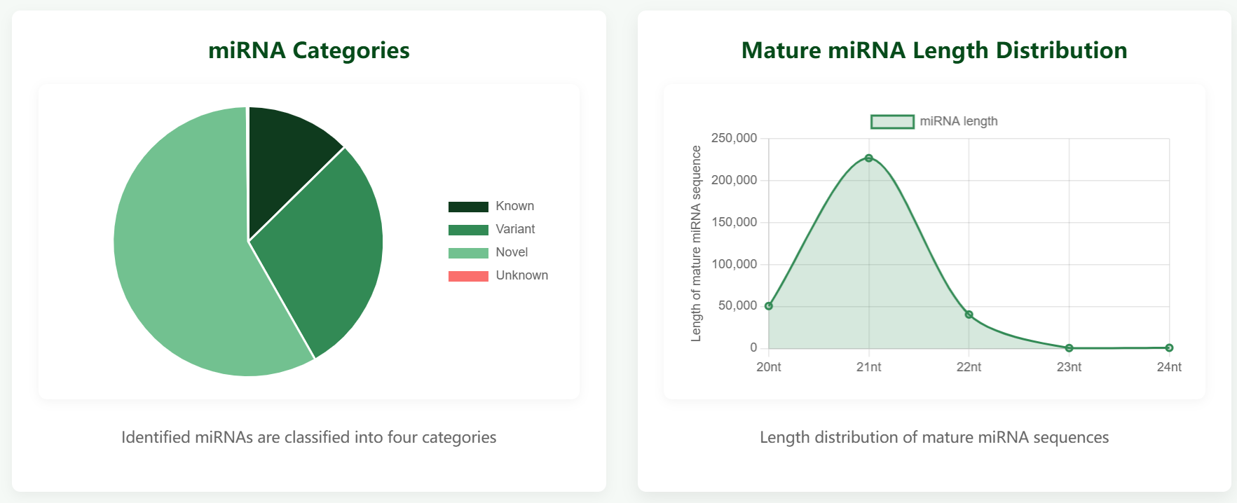Home Page Overview