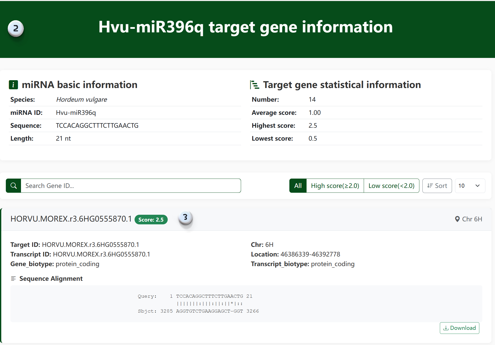miRNA Search 3